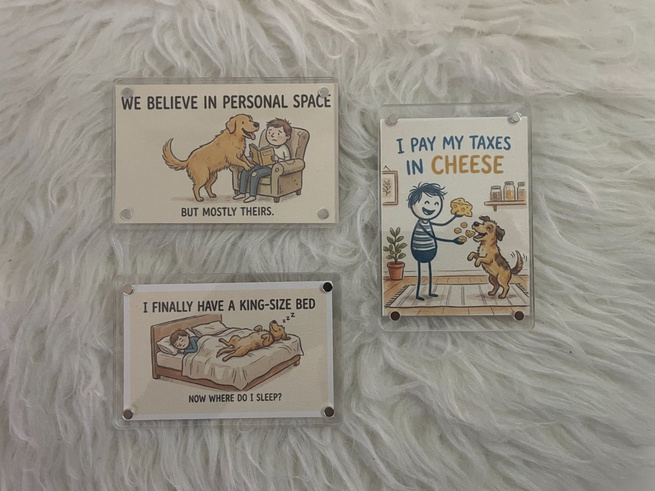 “Dog Logic” Magnet Collection